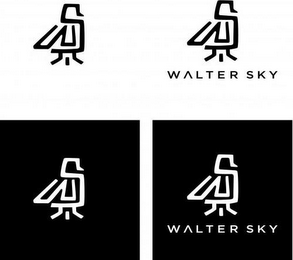 WS WS WALTER SKY WS WS WALTER SKY