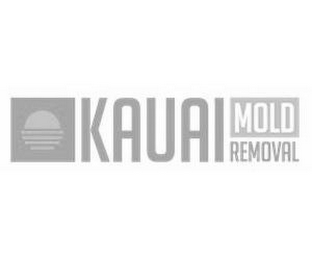 KAUAI MOLD REMOVAL