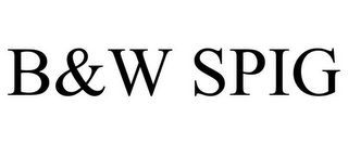 B&W SPIG