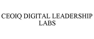 CEOIQ DIGITAL LEADERSHIP LABS