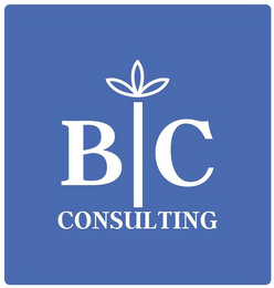 BC CONSULTING