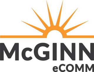 MCGINN ECOMM