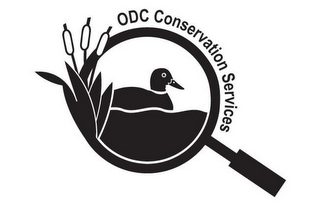 ODC CONSERVATION SERVICES