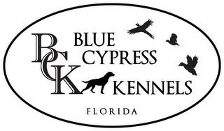 BCK BLUE CYPRESS KENNELS FLORIDA