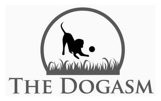 THE DOGASM