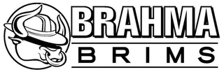 BRAHMA BRIMS