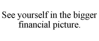 SEE YOURSELF IN THE BIGGER FINANCIAL PICTURE.