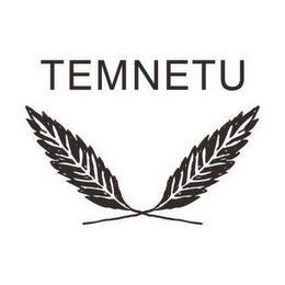 TEMNETU