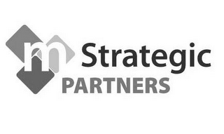 M STRATEGIC PARTNERS