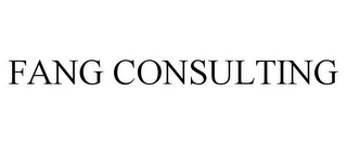 FANG CONSULTING