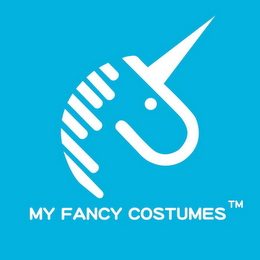 MY FANCY COSTUMES