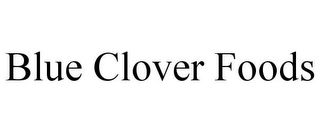 BLUE CLOVER FOODS