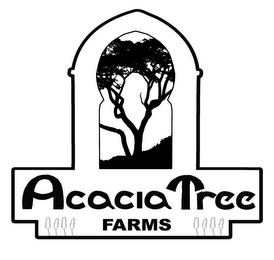 ACACIA TREE FARMS