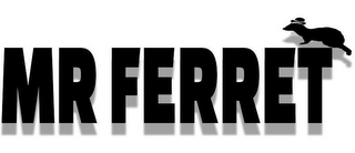 MR FERRET