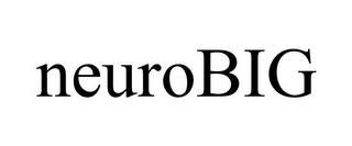 NEUROBIG