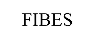 FIBES