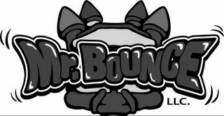 MR. BOUNCE LLC