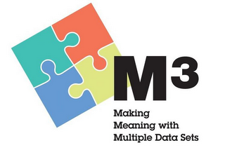 M3 MAKING MEANING WITH MULTIPLE DATA SETS
