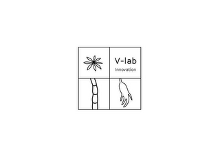 V-LAB INNOVATION