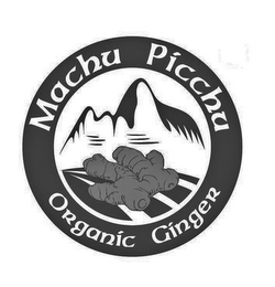 MACHU PICCHU ORGANIC GINGER