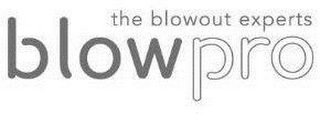 THE BLOWOUT EXPERTS BLOWPRO