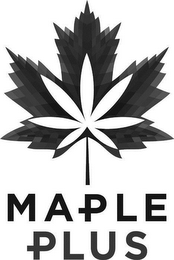 MAPLE PLUS