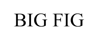 BIG FIG