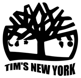 TIM'S NEW YORK