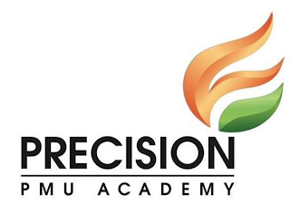 PRECISION PMU ACADEMY