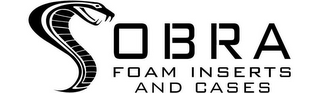 COBRA FOAM INSERTS AND CASES