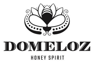 DOMELOZ HONEY SPIRIT