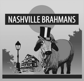 NASHVILLE BRAHMANS