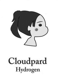 CLOUDPARD HYDROGEN