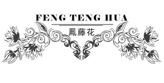 FENG TENG HUA