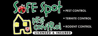 SAFE SPOT PEST CONTROL TERMITE CONTROL RODENT CONTROL  LICENSED & INSURED