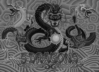 5 DRAGONS