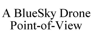 A BLUESKY DRONE POINT-OF-VIEW