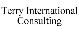 TERRY INTERNATIONAL CONSULTING