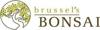 BRUSSEL'S BONSAI