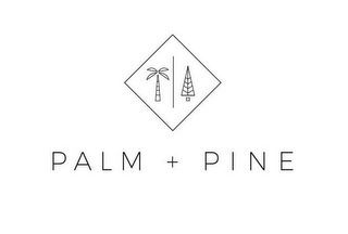 PALM + PINE