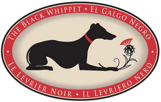 ·THE BLACK WHIPPET EL GALGO NEGRO· LE LÈVRIER NOIR IL LEVRIERO NERO