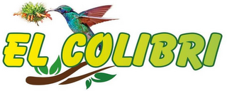 EL COLIBRI