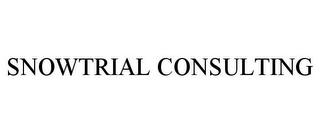 SNOWTRIAL CONSULTING