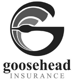 G GOOSEHEAD INSURANCE