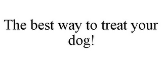 THE BEST WAY TO TREAT YOUR DOG!