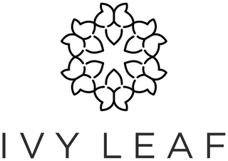 IVY LEAF