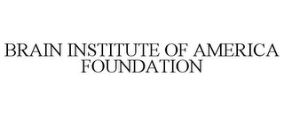 BRAIN INSTITUTE OF AMERICA FOUNDATION