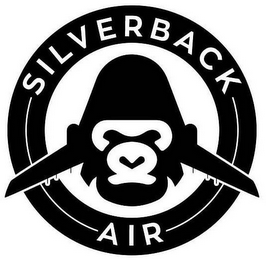 SILVERBACK AIR