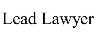 LEAD LAWYER