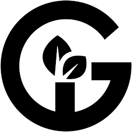 GI